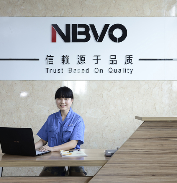 Ningbo Nbvo Seiko Bearing Co., Ltd.